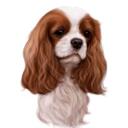 Spaniel Cartoon Portrait