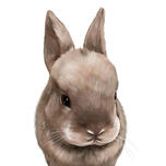 tavşan karikatür portre