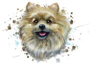 Pomeranian Spitz Portrait in Natural Watercolors from Photos