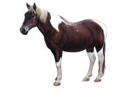 Portrait personnalisé de cheval en pied