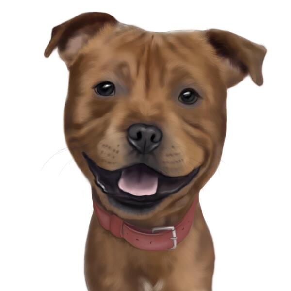 Staffordshire Bull Terrier Karikatür Portresi Fotoğraftan Renk Tarzında