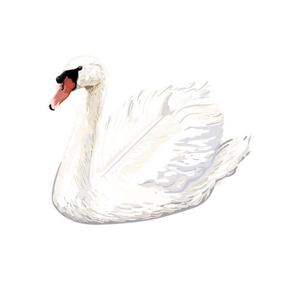 Charming White Swan Portrait Hand Drawn in Color Style from Photo