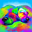 Ritratto+di+cane+a+corpo+intero+arcobaleno+con+sfondo+colorato