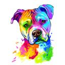 Staffordshire Bull Terrier Watercolor Portrait from Photos