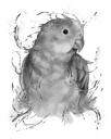 Grafīta papagaiļa portrets akvareļa stilā no fotoattēla
