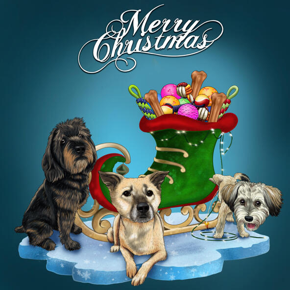 Christmas Pet Portraits