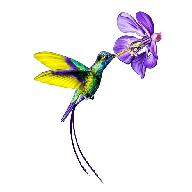 Retrato de dibujos animados de colibrí personalizado en estilo coloreado