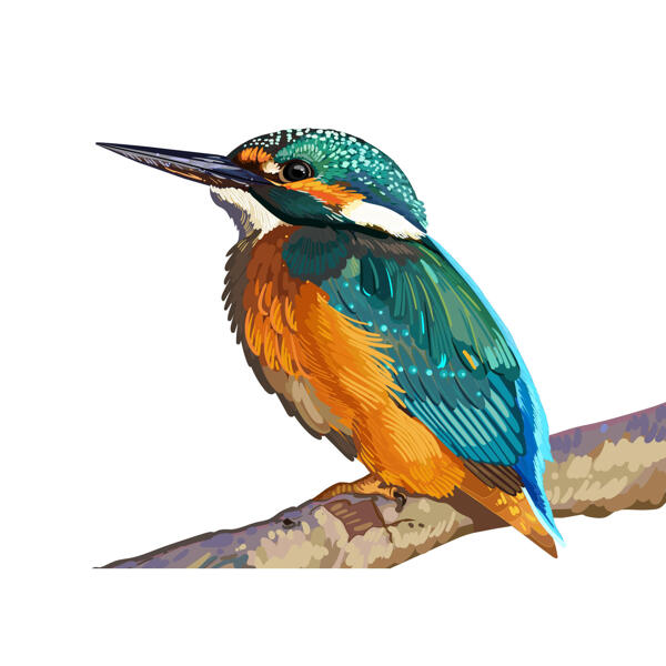 Kingfisher tecknad porträtt