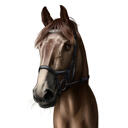 Heste digitalt portræt