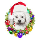 Pets for Christmas Card in Christmas Wreath