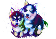 Helkroppsbild Husky Dog akvarellteckning