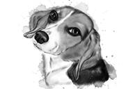 Beagle Graphite Watercolor Portrait Caricature from Photos