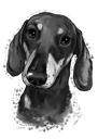 Gravhund Portræt tegneserie fra fotos i sort / hvid akvarel stil