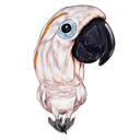 Caricature d'oiseau à partir de photos dessinées à la main dans un style de couleur de corps complet