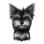 Yorkie Caricature in Black and White Style Hand-Drawn from Photos