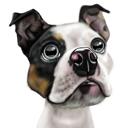 Cartoon Dog Portrait