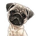 Custom Digital Pet Portrait from Photo