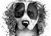 Grafitový portrét psa stafordšírského teriéra z fotografií