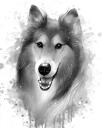 Rough Collie Portrait Painting from Photos in Graphite Style