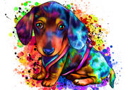 Full Body Dachshund Portrait in Colorful Watercolor from Photos