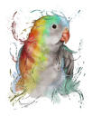 Яркий акварельный карикатурный портрет попугая по фотографии