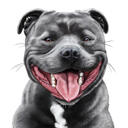 Custom Dog Portrait
