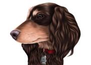 Colored Dachshund Caricature Portrait