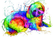 Full Body Rainbow Watercolour Bichon Maltaise muotokuva Kuva valokuvista