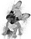 Kömür Fransız Bulldog Portresi