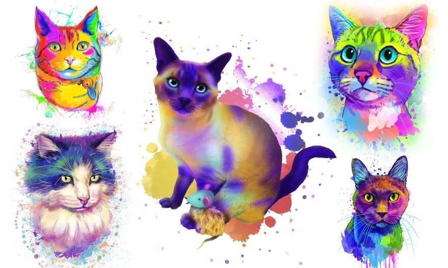 Akvarel portrét kočky