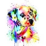 Custom Watercolor Dalmatian Portrait from Photos