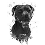 Retrato de grafite do cão Staffordshire Terrier em fotos