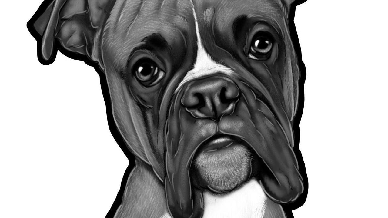 Retrato de dibujos animados de perro boxer i