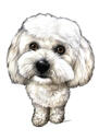 Miniature Toy Poodle Full Body Cartoon from Photos for Custom Gift