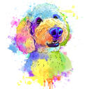 Poodle Watercolor Portrait Painting