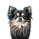 Černý špicl pes špic kreslený portrét v barevném stylu z fotografie