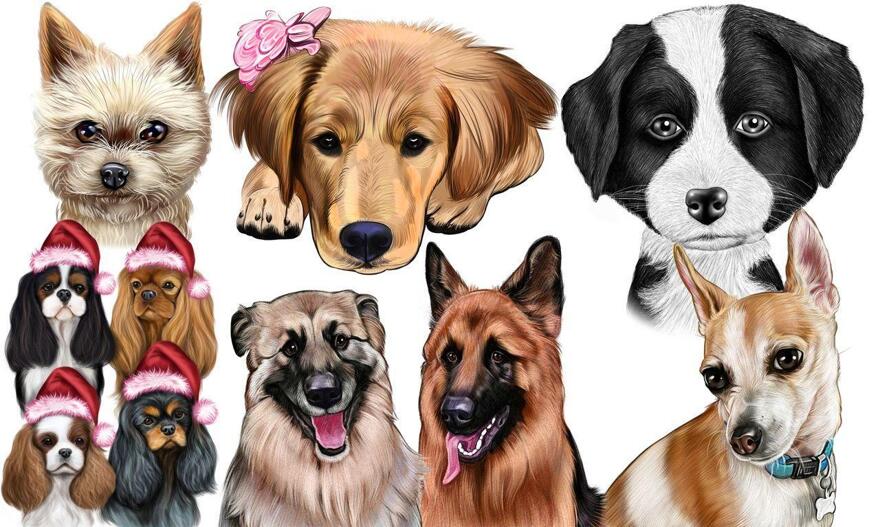 Карикатура любой породы собак