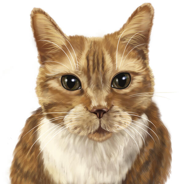 Portret de pisică cu proporții naturale ale corpului