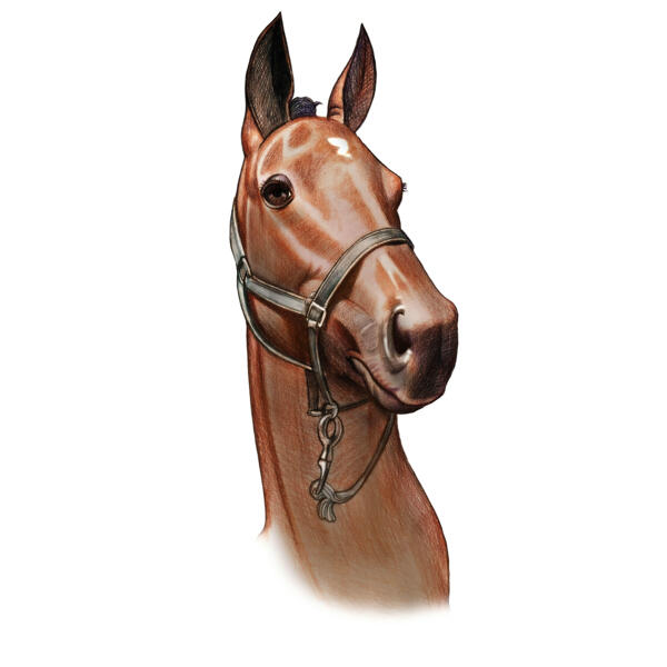 Zirgu portretu gleznošana krāsainā stilā no fotoattēliem