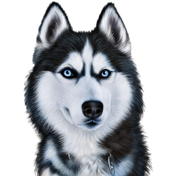 Husky-Cartoon-Porträt