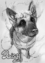 Träkol helkroppsporträtt av schäferhund i svartvit stil från foto