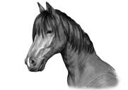 Hevosen muotokuva mustavalkoisena