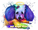 Watercolor+Natural+Style+Portrait+Painting+in+Honor+of+Pet+with+Halo+and+Angel+Wings