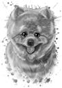 Pomeranian Dog Cartoon Portree akvarell-grafiit stiilis