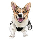Karikatura Corgi