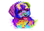 Portret de rasă de câine Bichon Frise colorat în acuarelă cu fundal