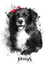 Watercolor Grayscale Australian Shepherd Caricature Portrait