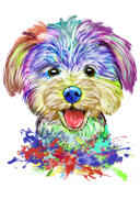Schwarz-Wei%C3%9F-Katzen-Cartoon-Portr%C3%A4t+mit+t%C3%BCrkisfarbenem+Hintergrund+im+Aquarell-Stil