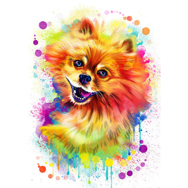 Pomeranian hund porträtt tecknad i akvarell stil