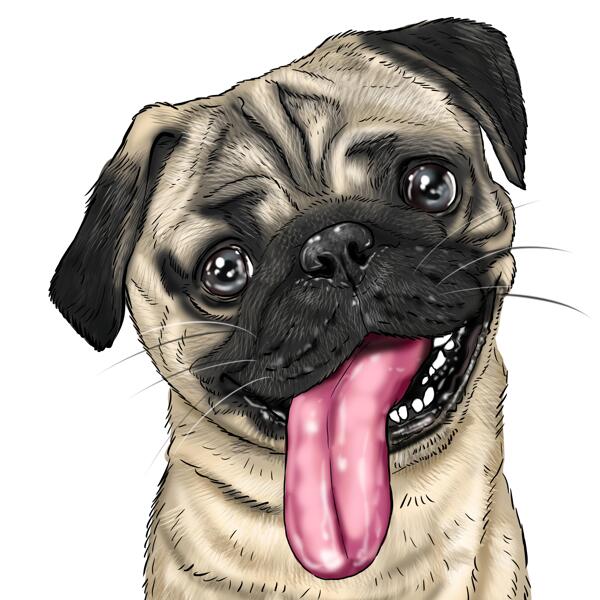 Personalized Pug Portrait in Color Style from Photo